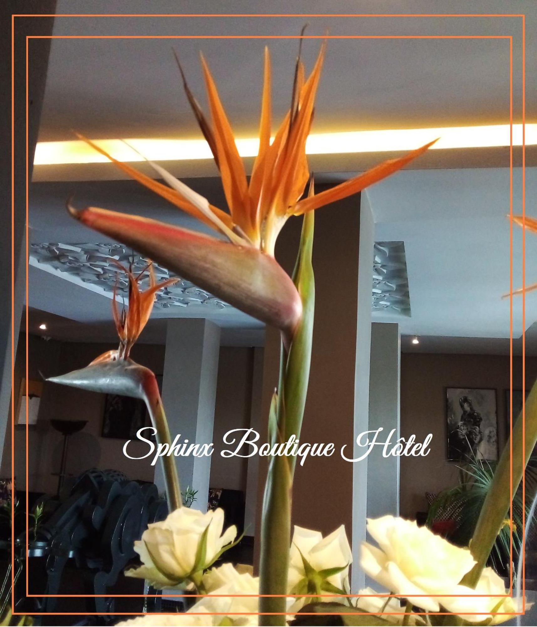 Le Sphinx Boutique Hotel Mohammedia Εξωτερικό φωτογραφία